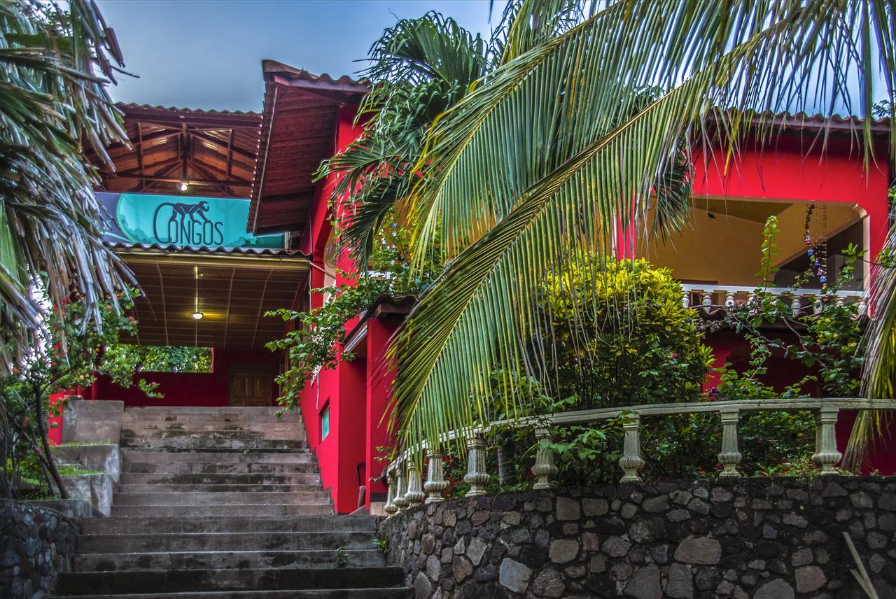 Mérida Hotel Congos المظهر الخارجي الصورة
